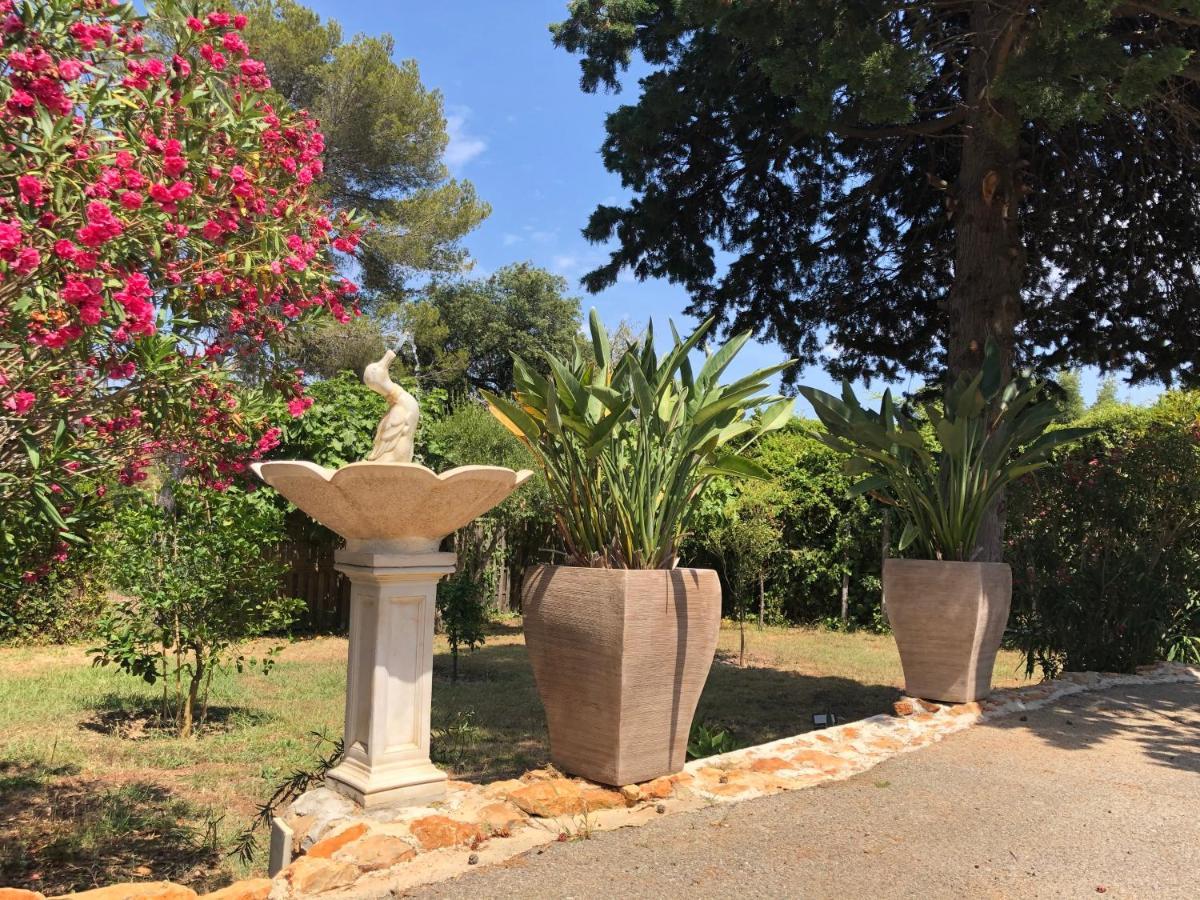 Rez De Pebrier * Frejus